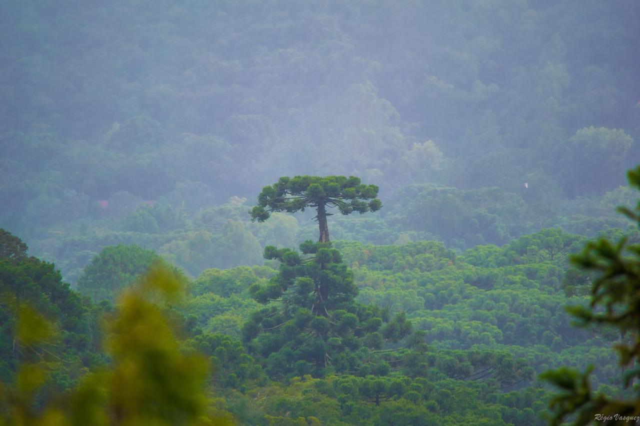 Pousada Ricanto Amore Mio Monte Verde  Exterior foto